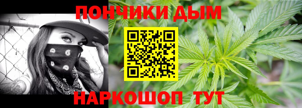 Конопля сатива Ачинск